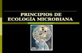 Microbiologia Ambiental. Ecologia Microbiana