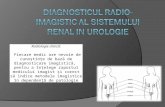 urologie in imagistica