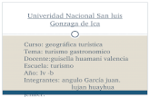 Univeridad Nacional San Luis Gonzaga de Ica