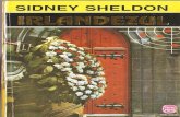 Sheldon, Sidney - Irlandezul