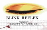 Blink Reflex