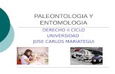 Paleontologia y Entomologia