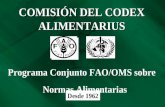 Codex Diplomado
