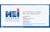 Govt Audits Are You Prepared?