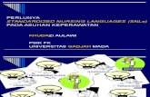 Standardized Nursing Languages