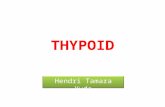 Askep  Thypoid