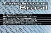 Transgênicos No Brasil Internet