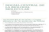 Dogma de La Biología Molecular