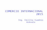 7C1 Medios Transporte Internacional 2015 (1)
