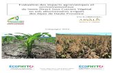 Evaluation des impacts agronomiques et environnementaux du SCV dans les Alpes de Haute de Provence