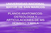 Planos Anatomicos- Osteologia Ms [Autoguardado]