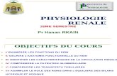 Physio Renale 1er Cours