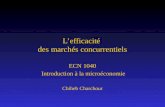 THEME 1 Efficacite Des Marches Concurrentiels(1)