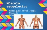 fisiologia del musculo
