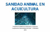 Sanidad Animal en Acuicultura