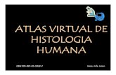 Atlas Histologia Samar