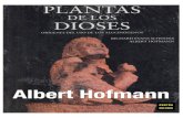Planta de Dioses Hoffman