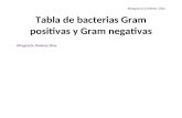 Oktabladebacteriasgrampositivasynegativasreviarparacursovirtual 141028073741 Conversion Gate01