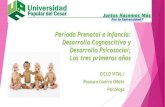 Periodo Prenatal, Desarrollo Cognoscitivo (1)