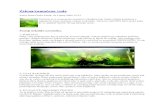 Algae Analiza