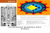 Ecología Marina Del Jurel