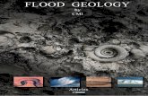 Flood Geology by CMI