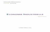 Economie Industrielle théorie
