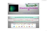 Elektroforeza II