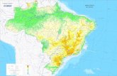 Mapa - Brasil Físico