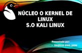 Nucleo o Kernel de Linux