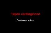 05.3 - Tejido Cartilaginoso - Histologia