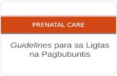 prenatal care.ppt