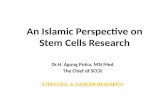 Perfective Stem Cell in Islam