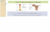 Tri Ariyani (03010270) Osteosarcoma
