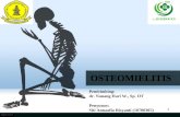 Referat (Osteomielitis)