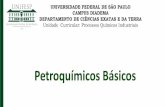 Petroquimicos Basicos.pdf
