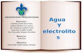 Agua y Electrolitos