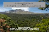 Biodiversidad Del Parque Nacional Malinche
