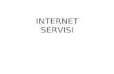 Internet Servisi