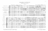 Dvorak Serenade Op.44 Score