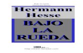 Hesse - Bajo La Rueda