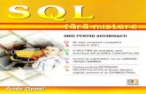 Andy Oppel-SQL Fara Mistere-Rosetti Educational 2006