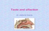 Taste and olfaction Dr. Altdorfer Károly. Taste and smell - associated with memory and emotion Taste and smell can influence gastrointestinal secretion.