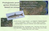 Phylogenetic position of the Altaic fish genus Oreoleuciscus in Leuciscinae based on mitogenome sequences Junichi Imoto 1, Kenji Saitoh 2, Jun Adachi 3,