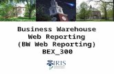 Business Warehouse Web Reporting (BW Web Reporting) BEX_300 BEX_300 1.