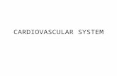 CARDIOVASCULAR SYSTEM. Myocardium Endocardium atria ventricle mitral/bicuspid tricuspid semilunar valve Pulmonary valve aortic valve systole diastole.