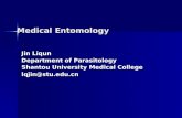 Medical Entomology Jin Liqun Department of Parasitology Shantou University Medical College lqjin@stu.edu.cn.