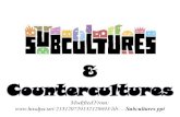 After today… You should be able to tell the difference between subcultures & countercultures You should be able to identify the purpose of subcultures.