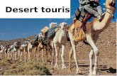 Desert tourism. Characteristics of Desert tourism.