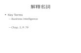 解釋名詞 Key Terms – Business Intelligence – Chap. 2, P. 79.